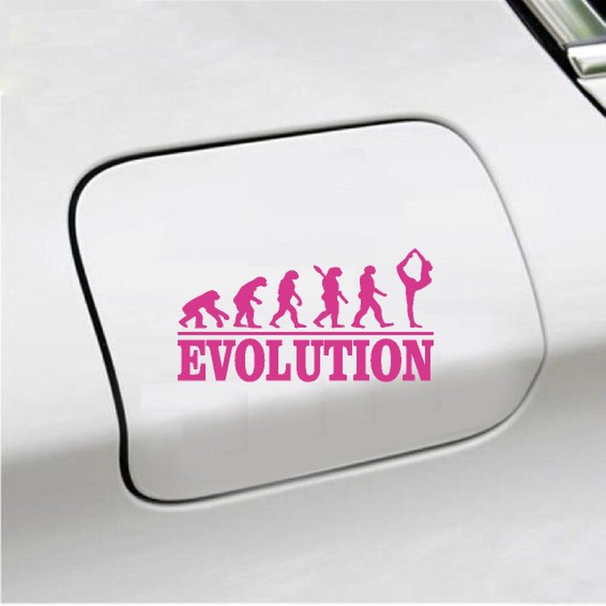 Bumpersticker - Evolution Ballet - 20x9.3 - Roze