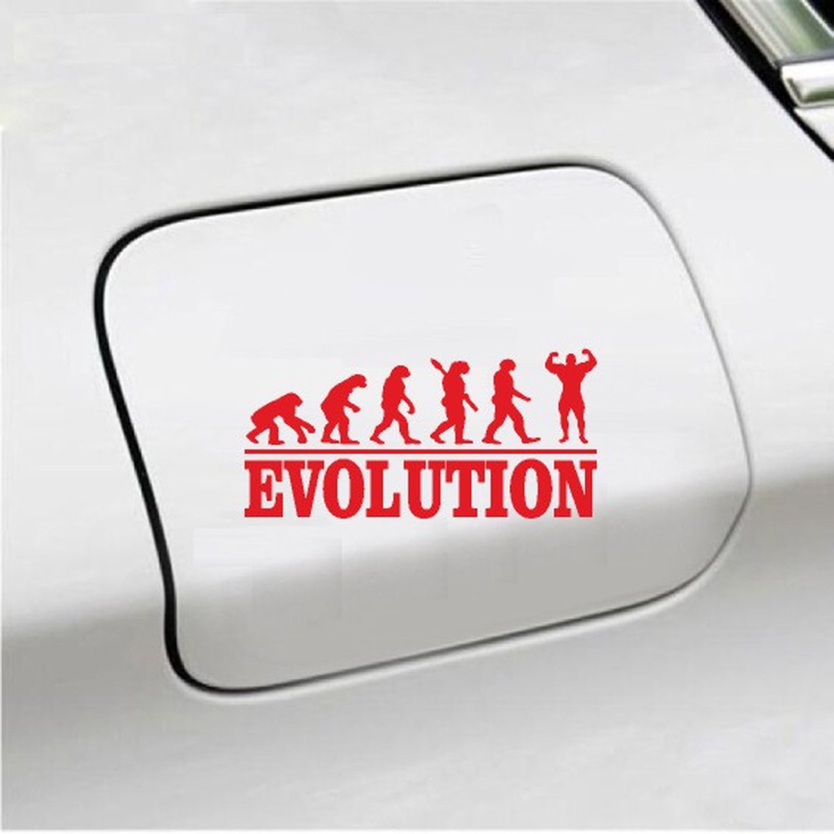 Bumpersticker - Evolution Bodybuilding- 20x9.3 - Rood