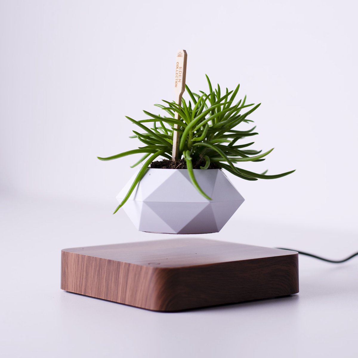 TECHPUNT Zwevende Bloempot wit - Levitating Bonsai - Magnetisch - Donkere bodem