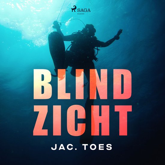 Blind zicht - cover