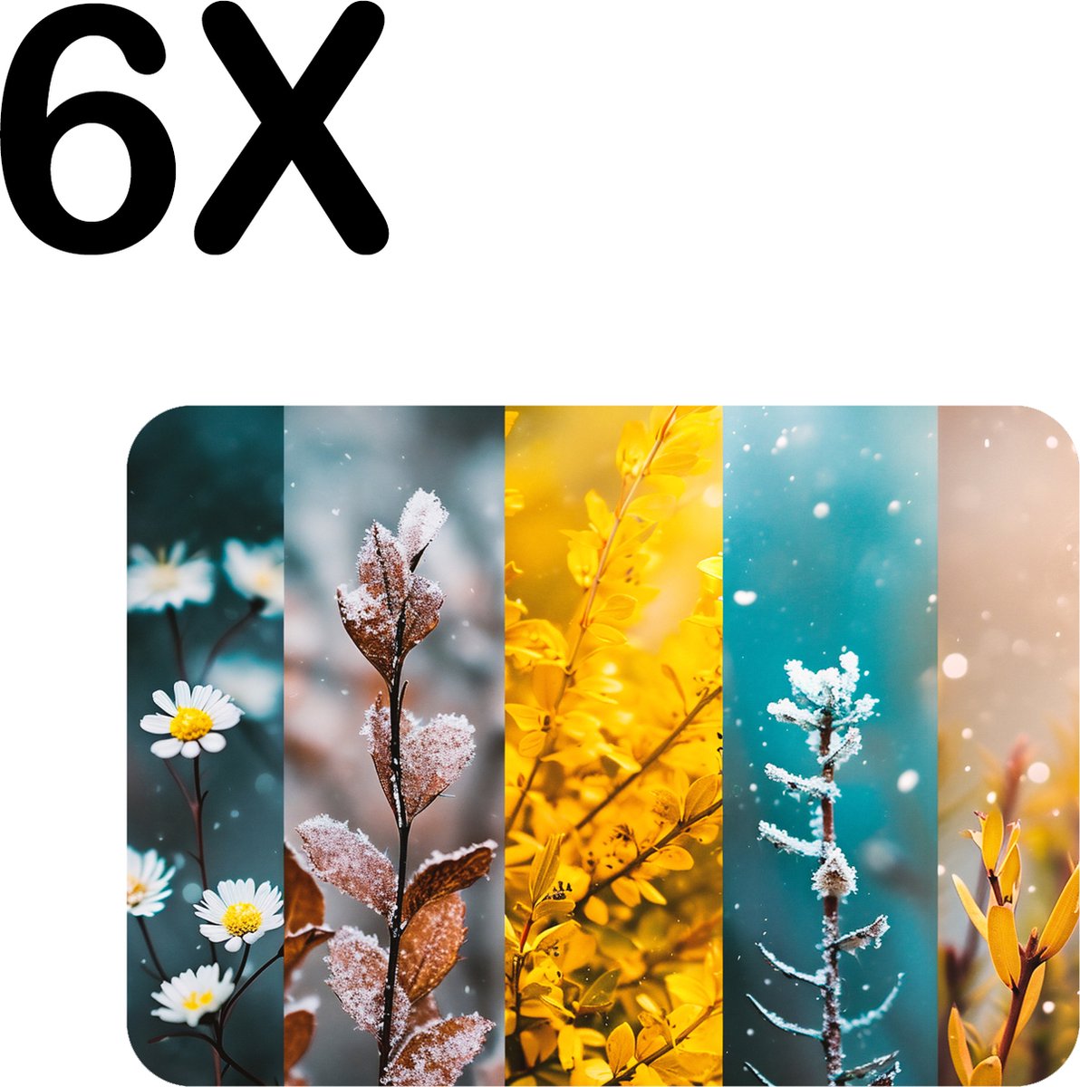 BWK Flexibele Placemat - Bloemen in Verschillende Seizoenen - Set van 6 Placemats - 40x30 cm - PVC Doek - Afneembaar