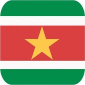 30x Bierviltjes Surinaamse vlag vierkant - Suriname feestartikelen - Landen decoratie