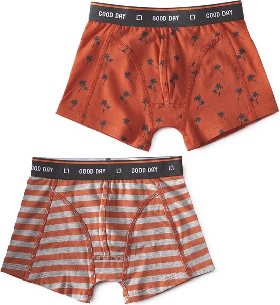 Little Label - boxershorts 2-pack - palm orange & big orange stripe - maat: 98/104 - bio-katoen