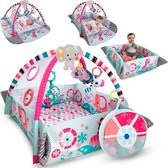 5-in-1 Your Way Ball Play™ Pink Activity Gym