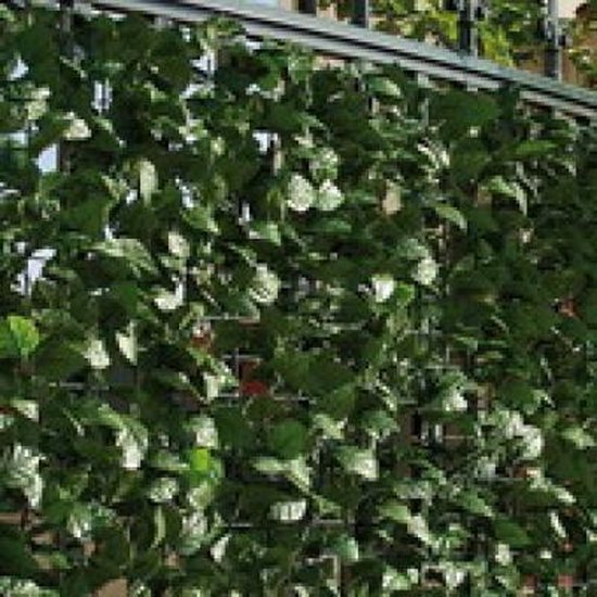 Chip aanvulling omverwerping Intergard Kunsthaag balkonscherm tuinscherm hedera klimop 100x300cm |  bol.com