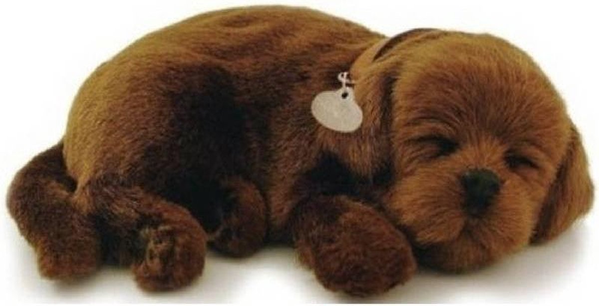 Speelgoed hondje net echt: Perfect petzzz Soft labrador chocolate