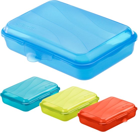 Rotho lunchbox FUN 0,45 l, plat (16 x 11 x 4 cm) aquablauw 450 ml | bol.com