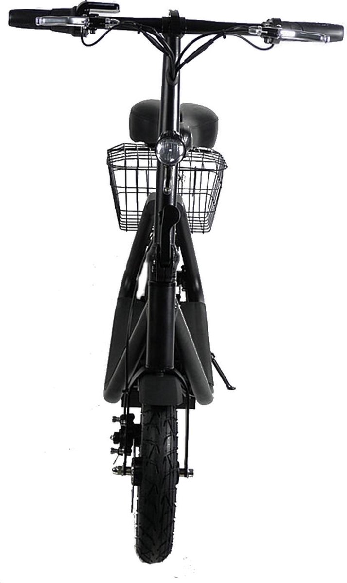 Zipper M6 350W Elektrische Step | bol.com