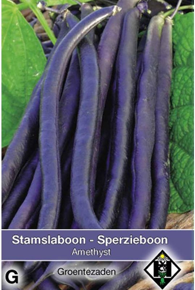 Van Hemert - Sperzieboon Laag/ Stamslaboon Amethyst