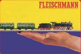 Wandbord - Fleischmann Trein -20x30cm-