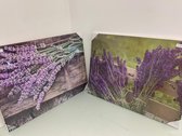 2 canvasdoeken - bloementhema - lavendel