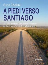 Guide d'autore - A piedi verso Santiago. 227 cose da sapere sul Cammino Francese da Saint-Jean-Pied-de-Port a Finisterre
