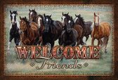 Wandbord - Welcome Friends -20x30cm-