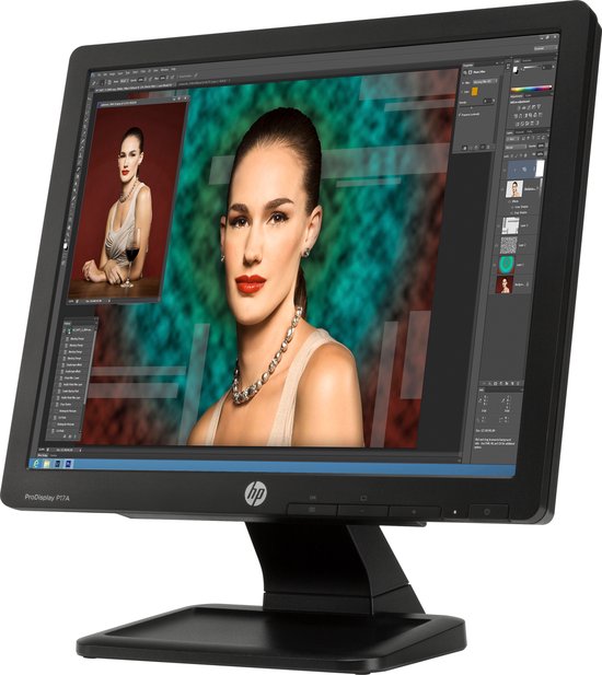 HP ProDisplay P17A Monitor