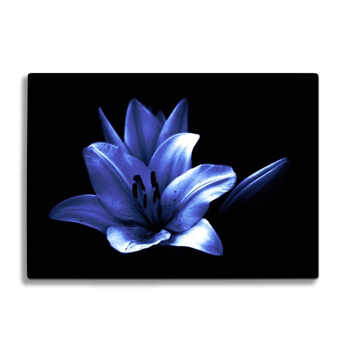 Glassnijplank - Paarse Bloem - Glazen Snijplanken - 35×25 cm - 4mm