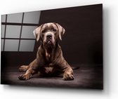 Insigne Glazen Schilderijen - Dieren - Hond  - Glasschilderij - 72x46 cm - 4 mm