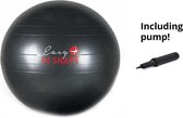 Easy in Shape Gymball - 60cm - Fitnessball/ Yogaba