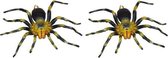2x Plastique jaune avec des araignées tarentules noires 16 cm - Figurines d'insectes araignées - Jouets pour enfants