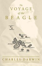 The Voyage of the Beagle