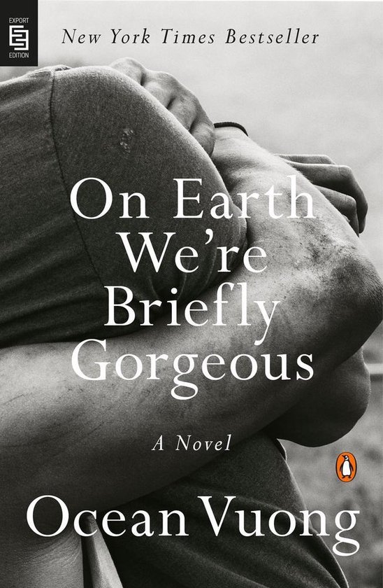 on Earth We'Re Briefly Gorgeous - cover