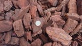 Franse Boomschors 45/80mm 5m³ incl. bezorgen