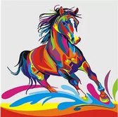 JDBOS ® Schilderen op nummer Volwassenen -  Gekleurd paard - Colorful horse - Paint by numbers - Verven volwassenen - 40x50 cm