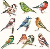 Ambiente Collection Of Birds papieren servetten