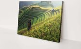 Champs de riz Vietnam | 90 x 60 cm | Toile pour l'extérieur | Peinture | Plein air | Tissu de jardin