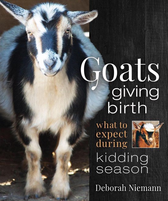 Goats Giving Birth - cover