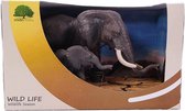 Olifant Wildlife in showbox 18 cm