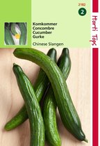 2 stuks Hortitops Komkommers Chinese Slangen