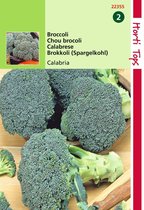 2 stuks Hortitops Broccoli Calabria