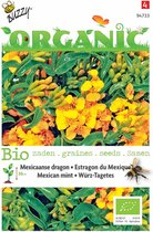 5 stuks Organic Tagetes Lucida, Mexicaanse dragon (BIO)