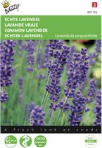 Buzzy zaden - Echte Lavendel (Lavandula angustifolia) - 2 stuks