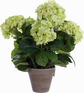 Kunstplant Hortensia Groen / Crème - H 45cm - Keramiek sierpot - Mica Decorations