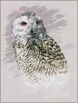 Snowy Owl Telpakket
