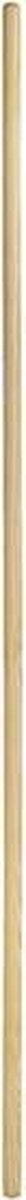 Borstelsteel Polet hout - 140 cm