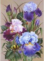Diamond painting pakket- Irissen-volledige bedekking- 34x24cm rond