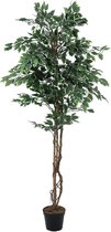 Europalms Bonte Ficus, 180 cm - Kunstplant