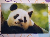 Deurmat 40x60 Panda