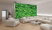 Fotobehang - Vlies Behang - Groene Bladeren Muur - 208 x 146 cm