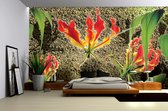 Papier peint photo Polaire | Fleurs, Mur | Vert rouge | 368x254cm (lxh)