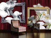 Flowers Orchids Frames Photo Wallcovering