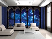 The Night Sky Photo Wallcovering