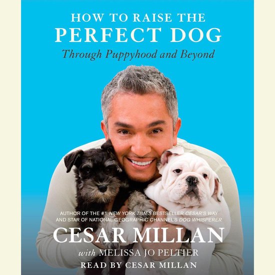 How to Raise the Perfect Dog - cover