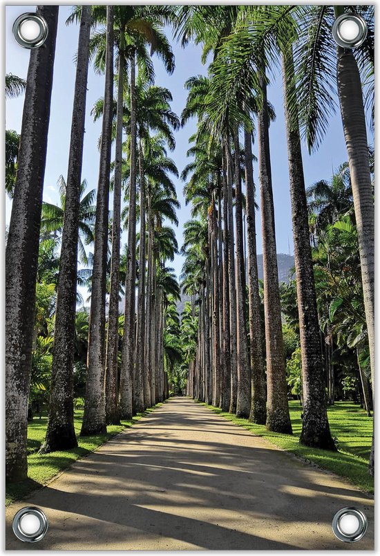 Tuinposter –Pad met Palmbomen– 100x150cm Foto op Tuinposter (wanddecoratie voor buiten en binnen)