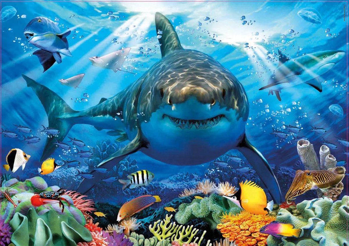 Great White Shark 500 Pieces