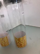 Pastablikken glas