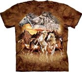 T-shirt Find 15 Horses L