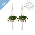 Simplifii – 2 stuks Trendy Macrame touw Plantenhanger – Macrame koord plant– 100% Katoen – Voor binnen én buiten – 87 CM